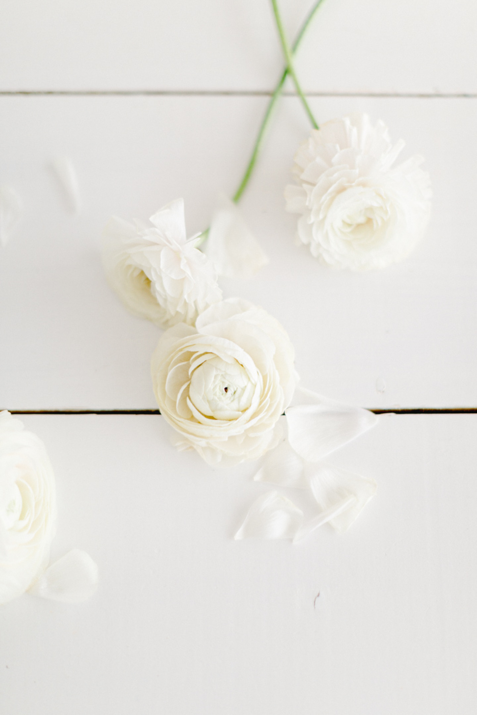 Inspiration Printemps