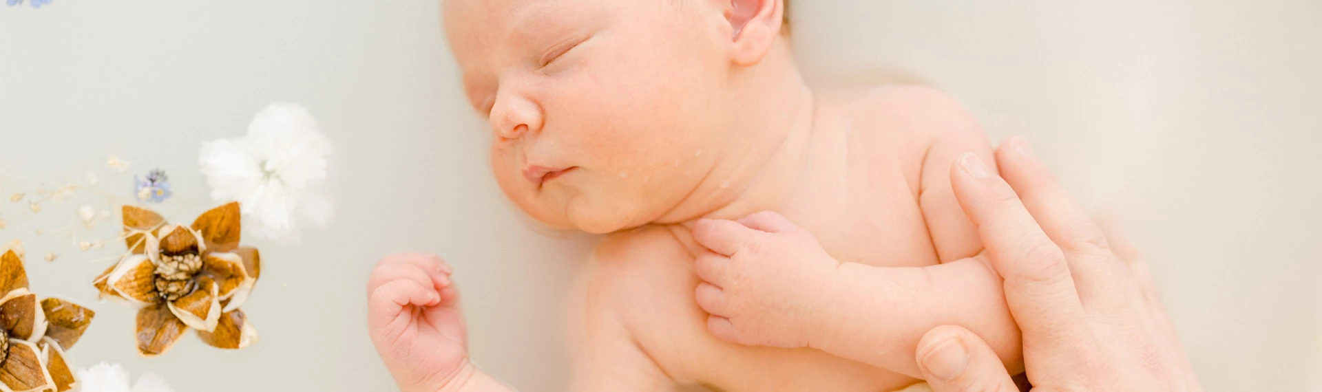 enfant bonheur naissance marron gris