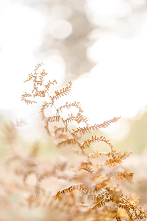 gris orange extérieur