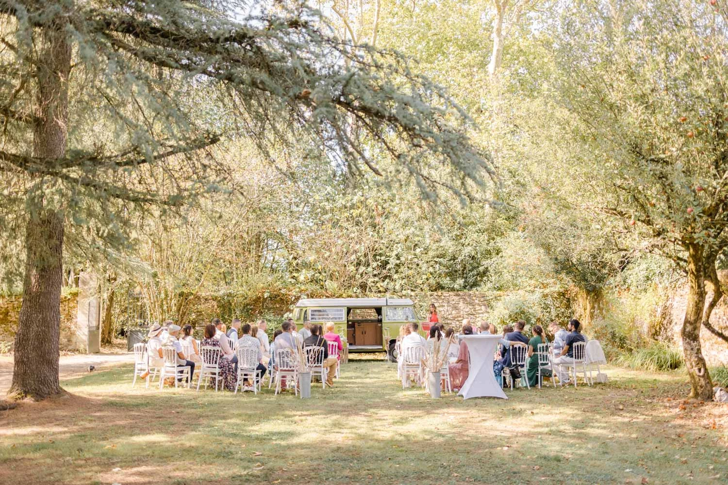 arbre, bifurquer, brindille, jardin, printemps
