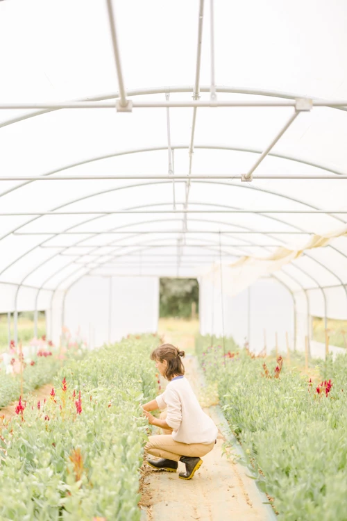 Femme en robe blanche cueillant des fleurs dans une serre lumineuse entourée de verdure