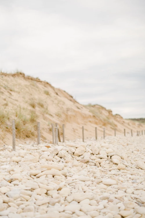 Chemin de galets blancs menant vers des dunes de sable bordées d'herbes sauvages sous un ciel voilé