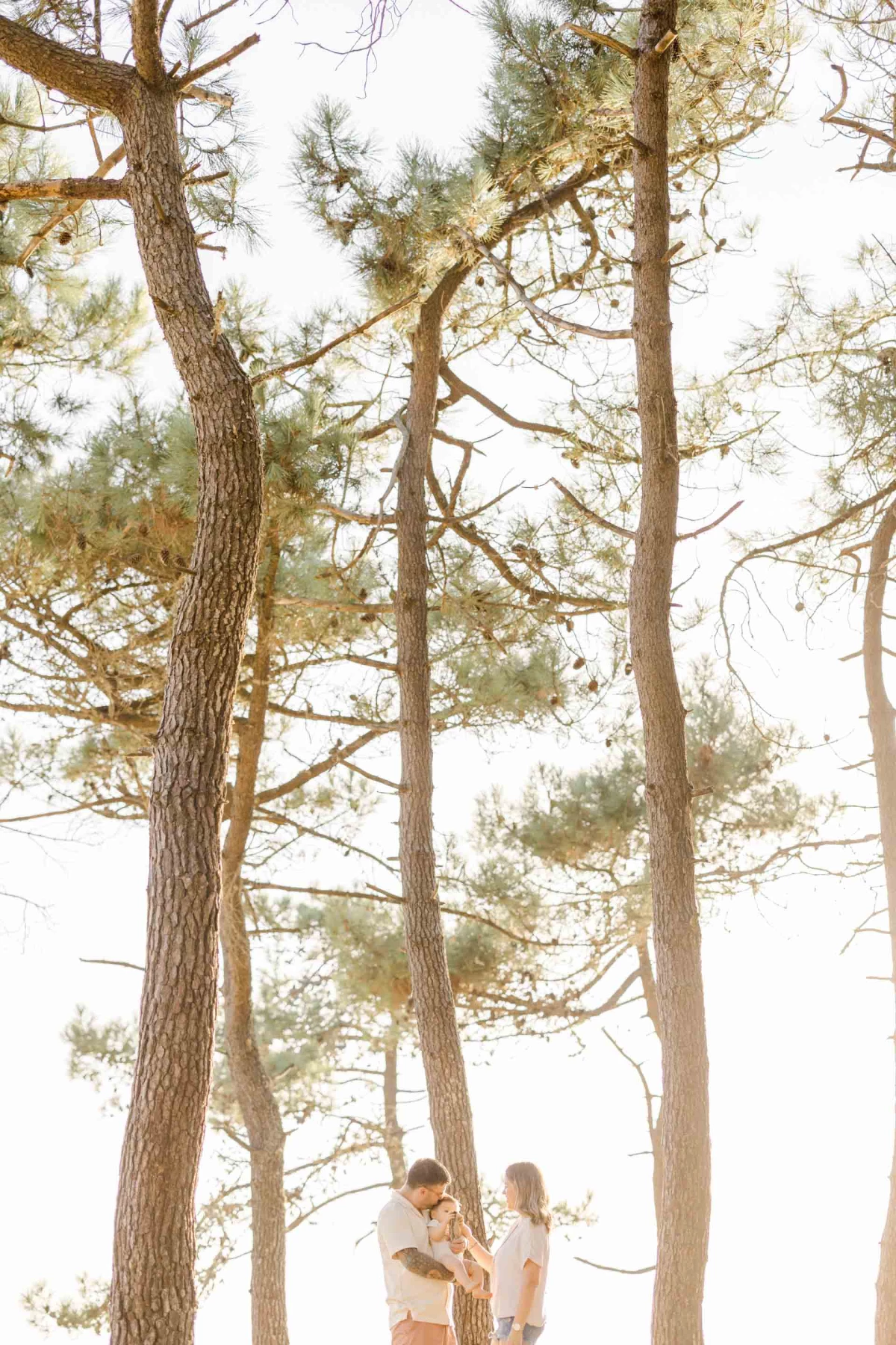 bonheur amour romance marron gris