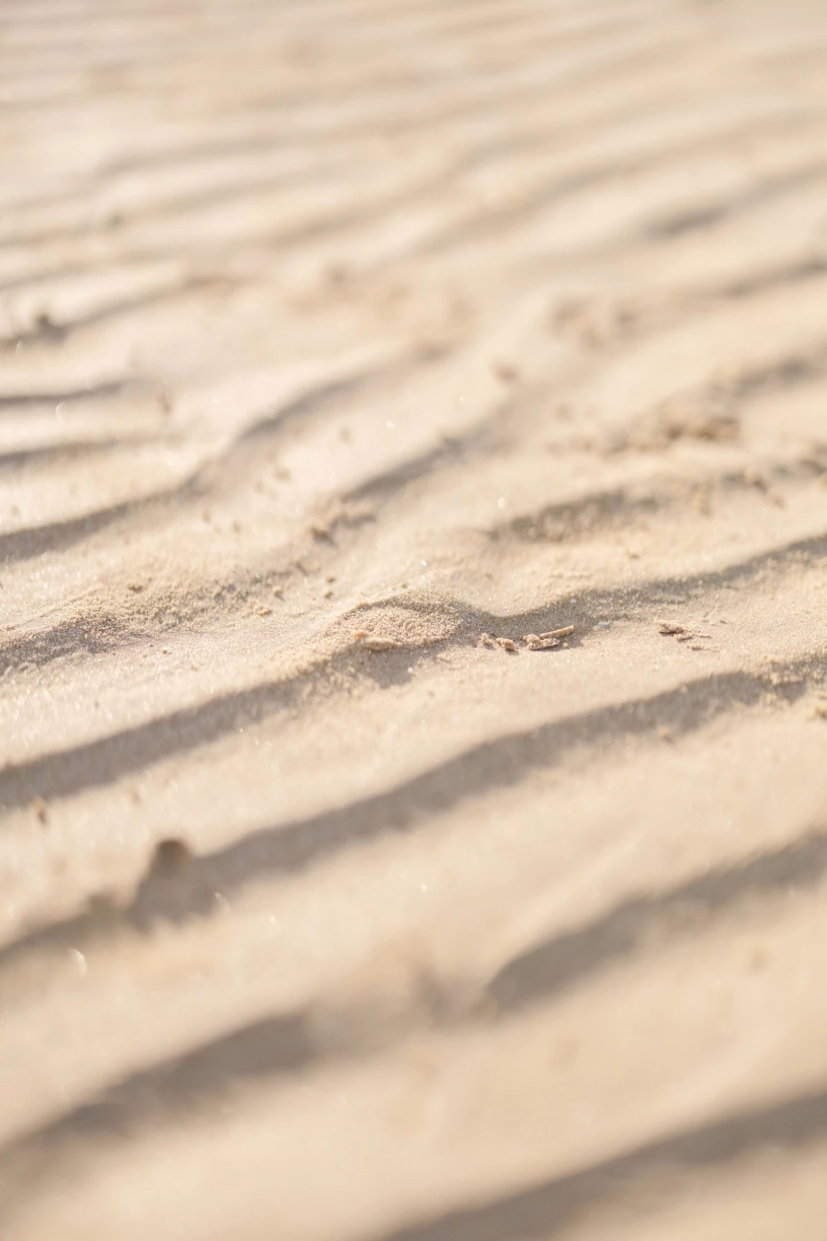 brun sable plage gris extérieur