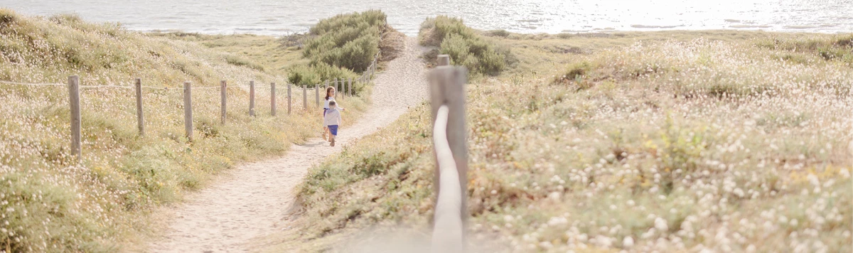 arbustes chemin de terre sol prairie sable