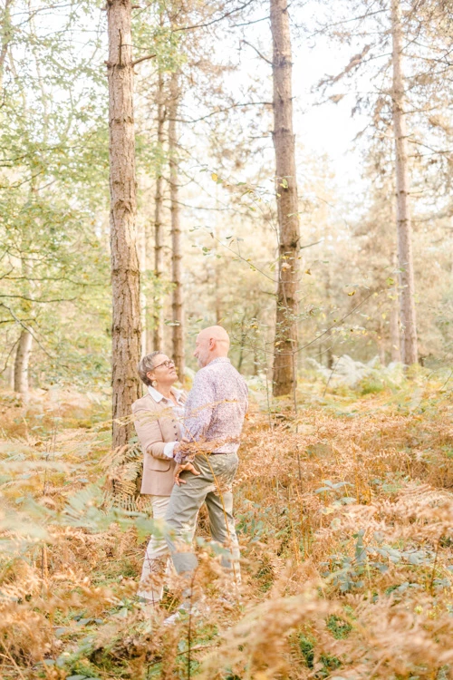feuille forêt bosquet bonheur marron