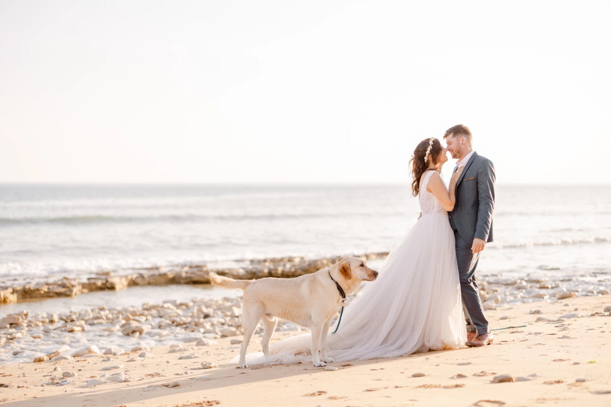 plage événement mer côte bonheur