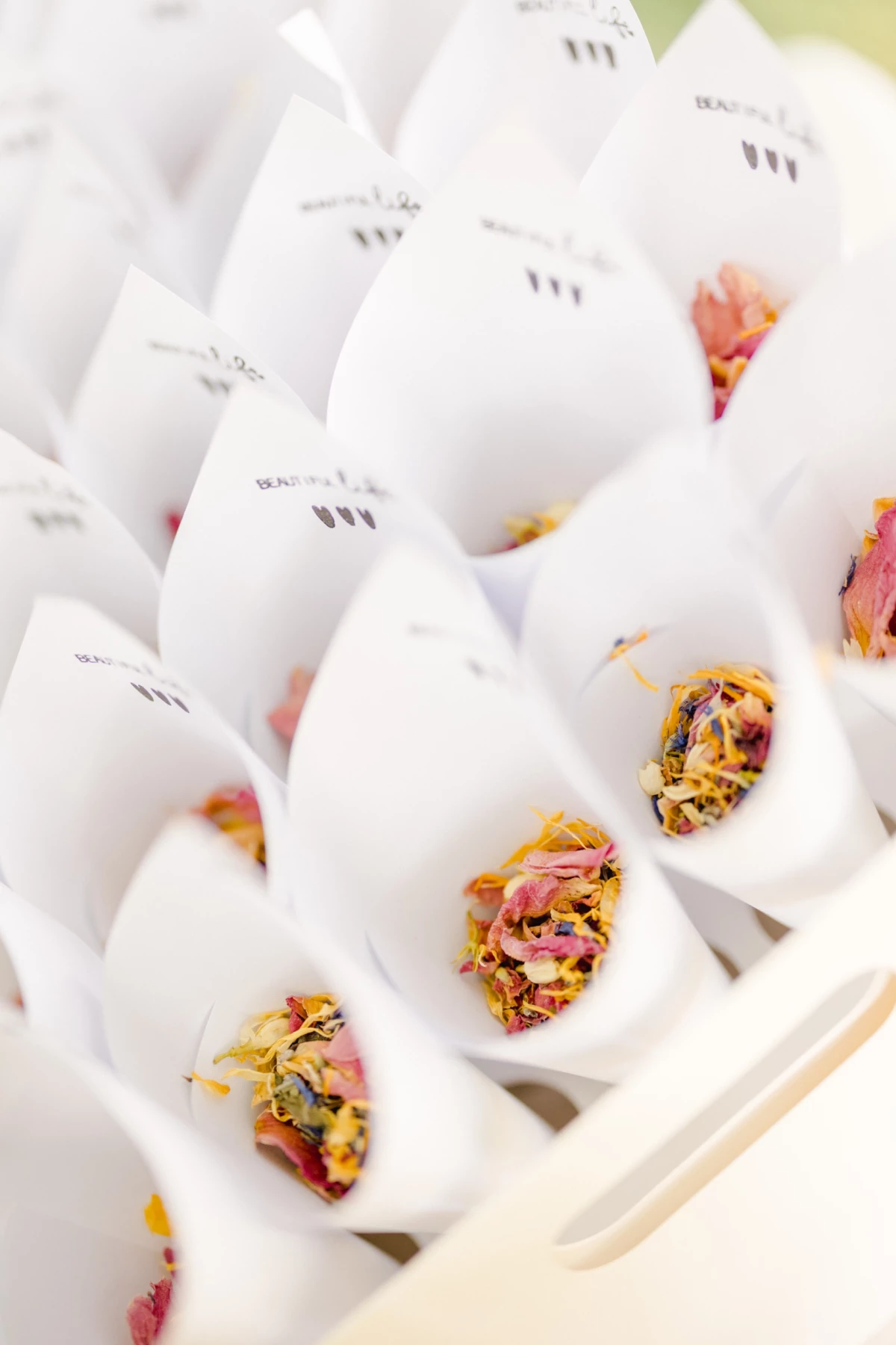 Cornets en papier blanc remplis de pétales de fleurs séchées colorés pour cérémonie de mariage