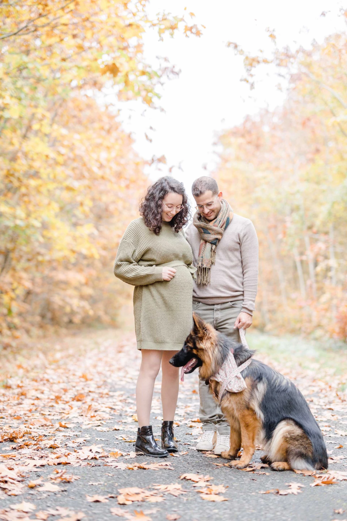 bonheur gris marron nature saisons