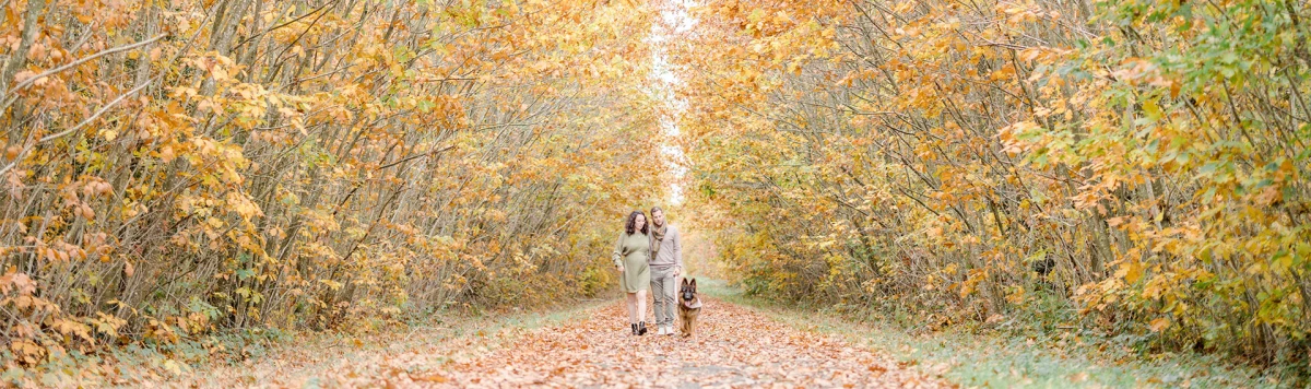 feuille jaune forêt bosquet gris